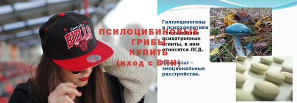 PSILOCYBIN Абдулино