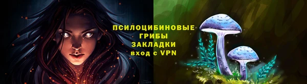 трава Абинск
