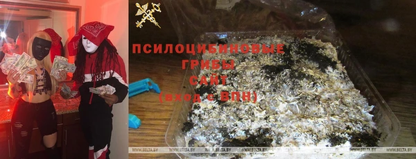 прущие крисы Алзамай